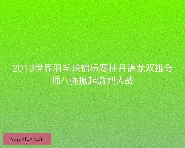 2013世界羽毛球锦标赛林丹谌龙双雄会师八强掀起激烈大战